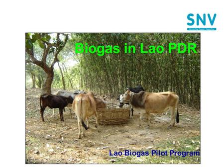 Biogas in Lao PDR Lao Biogas Pilot Program. Need for domestic biogas ?(1) In rural areas of Laos over 90-95% of the population depend mainly on fuel wood.