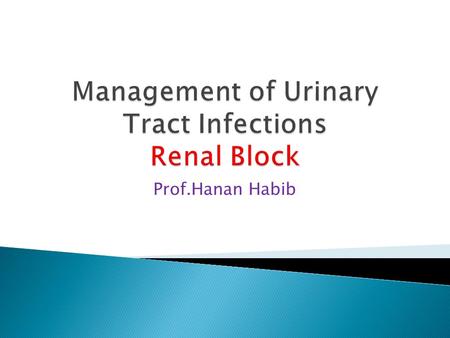 Prof.Hanan Habib. To eradicate the offending organisms from the urinary bladder and tissues. The main treatment of UTI is by antibiotics.