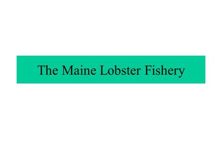 The Maine Lobster Fishery. Overview Biology of the Lobster History of the Fishery Modernization of the Fishery Conflicts and Compromises Solutions.