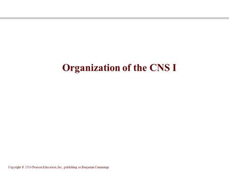 Copyright © 2004 Pearson Education, Inc., publishing as Benjamin Cummings Organization of the CNS I.