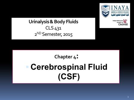 1 Urinalysis & Body Fluids CLS 431 2 ND Semester, 2015 Chapter 4 :  Cerebrospinal Fluid (CSF)