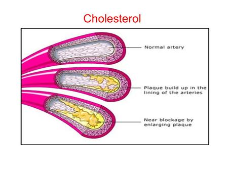 Cholesterol. Where are they come from? Liver produces 75-80% of cholesterol.