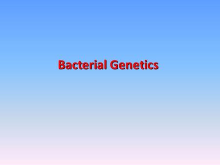 Bacterial Genetics.