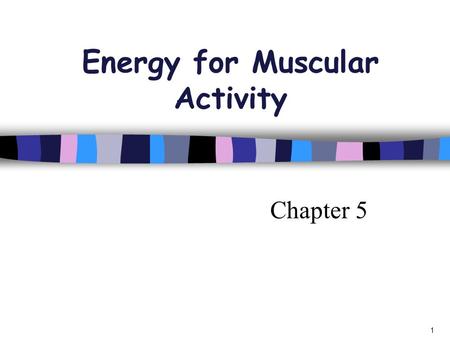 Chapter 5 1 Energy for Muscular Activity. Where do we get Energy for our working muscles?