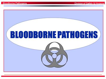 BLOODBORNE PATHOGENS Bloodborne Pathogens Division of Safety & Hygiene.