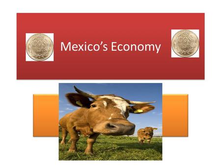Mexico’s Economy.