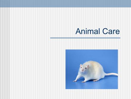 Animal Care. Overview Some people are troubled by the use of animals in research. Each individual must make decisions about the kind of research he/she.