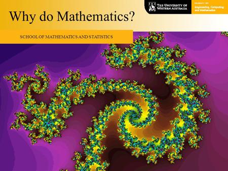 July 2009WHY DO MATHEMATICS?1 Why do Mathematics? SCHOOL OF MATHEMATICS AND STATISTICS.