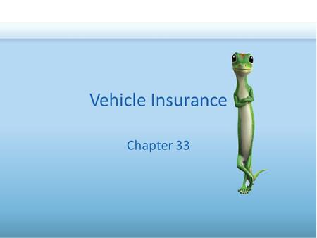 Vehicle Insurance Chapter 33. Types of Vehicle InsuranceLaws on Vehicle InsuranceThe Costs of Insurance Basics Bodily Injury Liability Property Damage.