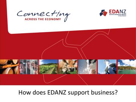 How does EDANZ support business?. The Economic Development Agency Network EDANZ is organised as 14 key regional groups at the governance level to provide.