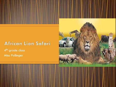 4 th grade class Miss Pollinger 1386 Cooper Road, Hamilton, Ontario Canada The African Lion Safari tries to imitate the actual safari.