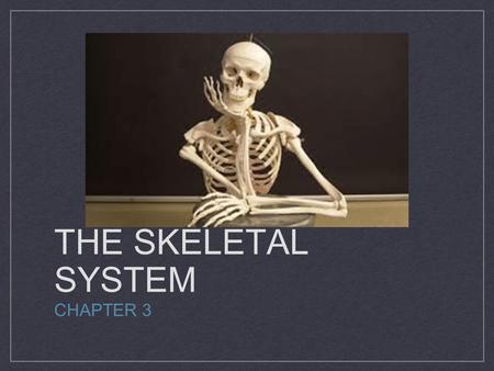 The Skeletal System Chapter 3.
