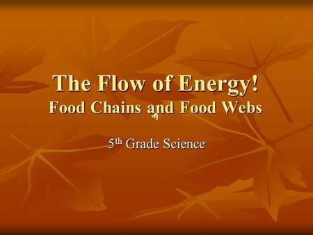The Flow of Energy! Food Chains and Food Webs 5 th Grade Science.