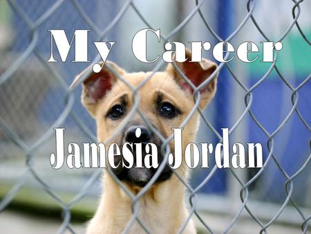 My name is Jamesia. My future goal is to become a veterinarian. My favorite classes are literature and biology. Some of my work values are dependable,