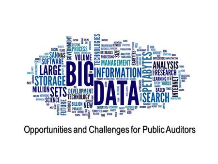 Opportunities and Challenges for Public Auditors.