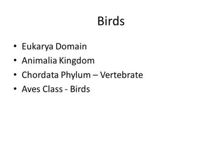 Birds Eukarya Domain Animalia Kingdom Chordata Phylum – Vertebrate Aves Class - Birds.