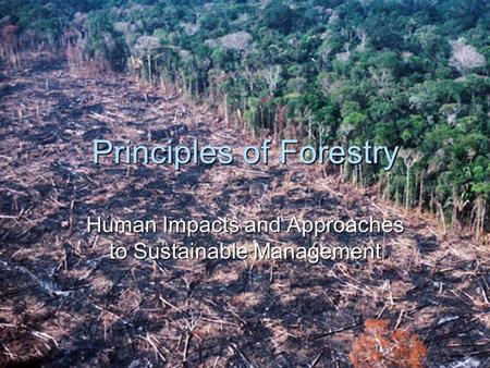 Principles of Forestry