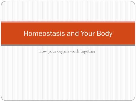 How your organs work together Homeostasis and Your Body.