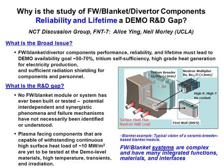Why is the study of FW/Blanket/Divertor Components Reliability and Lifetime a DEMO R&D Gap? NCT Discussion Group, FNT-7: Alice Ying, Neil Morley (UCLA)