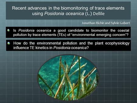 Recent advances in the biomonitoring of trace elements using Posidonia oceanica (L.) Dellile Is Posidonia oceanica a good candidate to biomonitor the coastal.