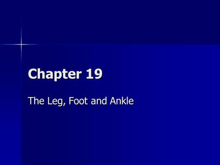 Chapter 19 The Leg, Foot and Ankle.