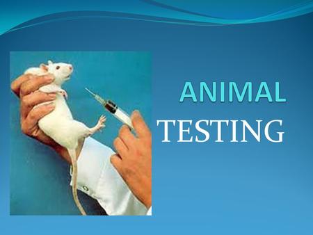 TESTING. Definition : Animal testing is the use of animals in experiments. Animal experiments are widely used to develop new medicines and to test the.