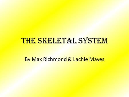 The Skeletal System By Max Richmond & Lachie Mayes.