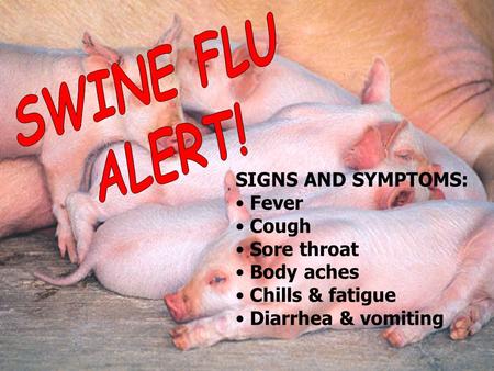 SIGNS AND SYMPTOMS: Fever Cough Sore throat Body aches Chills & fatigue Diarrhea & vomiting.