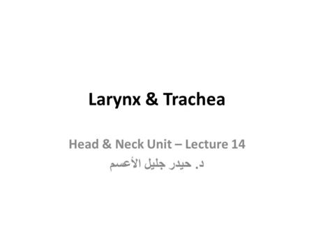 Head & Neck Unit – Lecture 14 د. حيدر جليل الأعسم