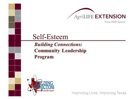 Self-Esteem Improving Lives. Improving Texas. Building Connections: Community Leadership Program.