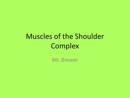 Muscles of the Shoulder Complex Mr. Brewer. Shoulder Movements 1. Shoulder Flexion 2. Shoulder Extension 3. Humeral Abduction* 4. Humeral Adduction* 5.