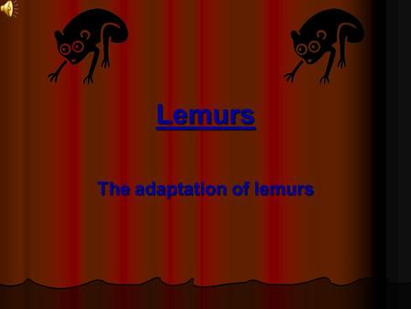 Lemurs The adaptation of lemurs. Contents About Lemurs About Lemurs The Adaptation of Lemurs The Adaptation of Lemurs Pictures of Lemurs Pictures of Lemurs.