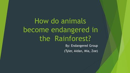 How do animals become endangered in the Rainforest? By: Endangered Group (Tyler, Aidan, Mia, Zoe)