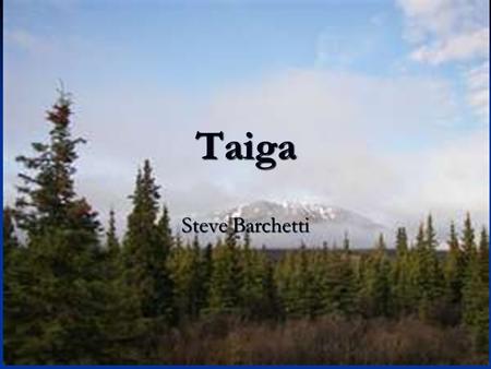 Taiga Steve Barchetti. Abiotic factors Climate: The taiga corresponds with regions of subarctic and cold continental climate. Long, severe winters (up.