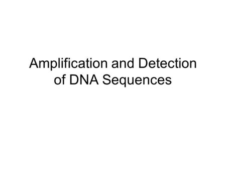 Amplification and Detection of DNA Sequences