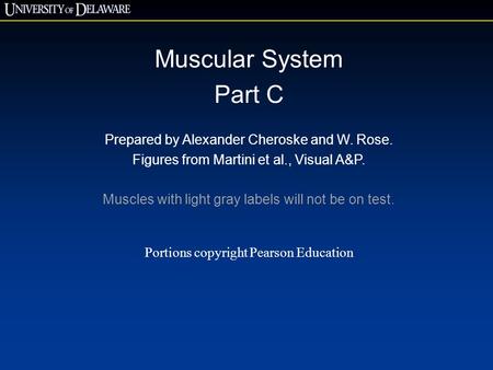 Muscular System Part C Prepared by Alexander Cheroske and W. Rose.