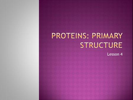 Lesson 4.  Describe the structure of an amino acid  Describe the formation and breakage of peptide bonds  Explain the term primary structure.