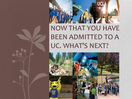 NOW THAT YOU HAVE BEEN ADMITTED TO A UC. WHAT’S NEXT?