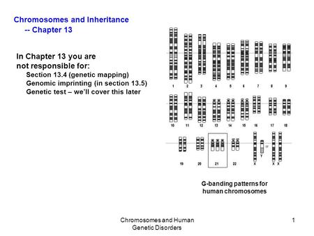 Chromosomes and Human Genetic Disorders 1 In Chapter 13 you are not responsible for: Section 13.4 (genetic mapping) Genomic imprinting (in section 13.5)
