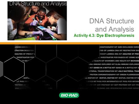 DNA Structure and Analysis Activity 4.3: Dye Electrophoresis.