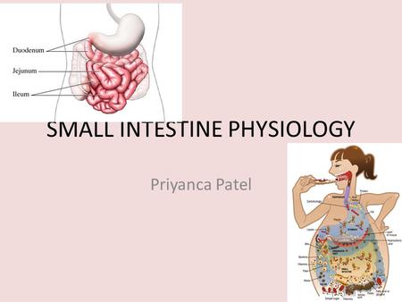 SMALL INTESTINE PHYSIOLOGY Priyanca Patel. What are the secretions of the exocrine pancreas and small intestine? There are 5 things to remember A pneumonic.