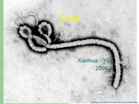 Ebola Xiaohua YU 2008