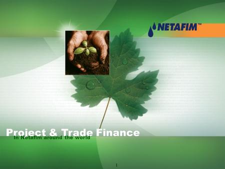 1 Project & Trade Finance In Netafim around the world.