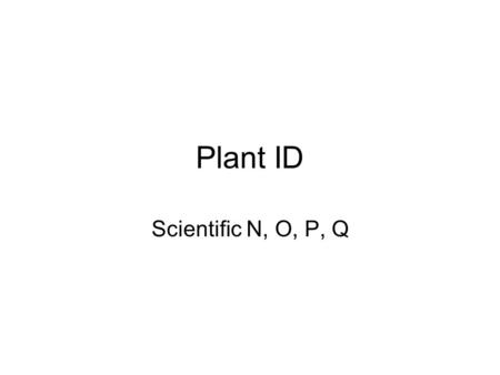 Plant ID Scientific N, O, P, Q.
