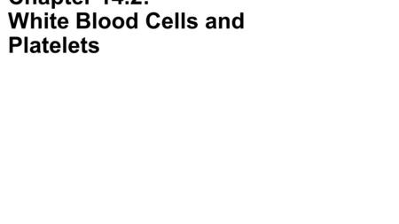 Chapter 14.2: White Blood Cells and Platelets. White Blood Cells (WBCs) -Also called leukocytes -Contain a nucleus and other organelles -No hemoglobin.
