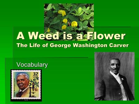 A Weed is a Flower The Life of George Washington Carver Vocabulary.