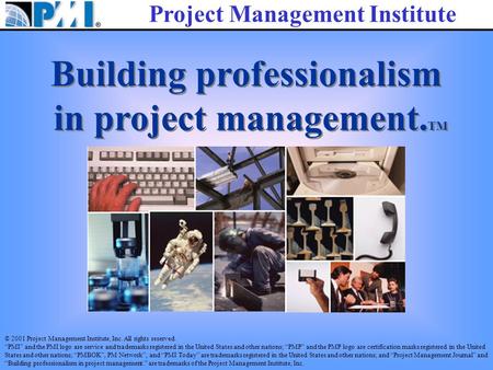 Project Management Institute Building professionalism in project management. TM Building professionalism in project management. TM © 2001 Project Management.