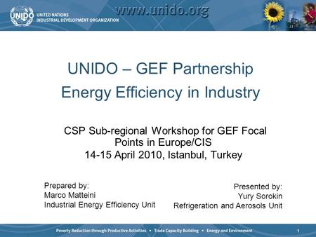 1 UNIDO – GEF Partnership Energy Efficiency in Industry CSP Sub-regional Workshop for GEF Focal Points in Europe/CIS 14-15 April 2010, Istanbul, Turkey.