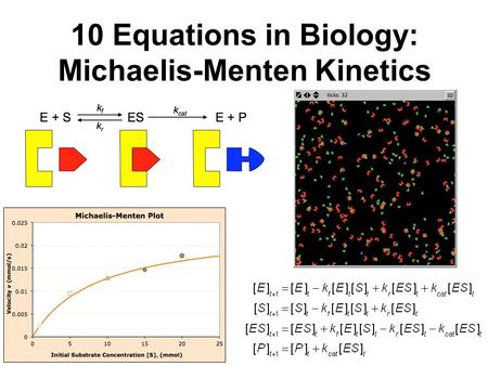 10 Equations in Biology: Michaelis-Menten Kinetics.
