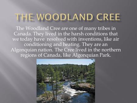 The Woodland Cree The Woodland Cree are one of many tribes in Canada. They lived in the harsh conditions that we today have resolved with inventions,